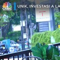 Selebgram Anya Geraldine Pilih Lele & Bebek untuk Investasi