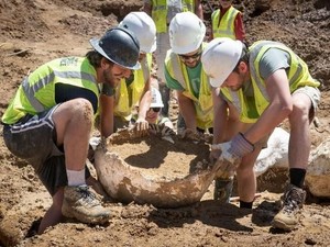 Fosil Dinosaurus 90 Juta Tahun Ditemukan, Diduga Jago Lari