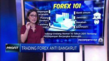 Trading Forex Anti Bangkrut