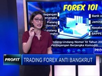 Trading Forex Anti Bangkrut