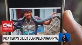 VIDEO: Ngeri! Pria Tewas Dililit Ular Peliharaannya Sendiri