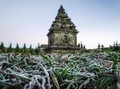 Tips Antisipasi Suhu Dingin Ekstrem saat Wisata di Dieng