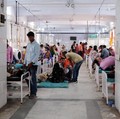 Flu Tomat Mulai Serang Anak-Anak, Lebih Parah dari Covid-19?