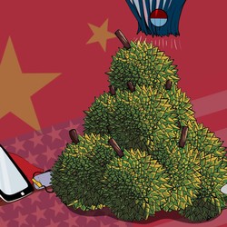 Durian Runtuh Perang Dagang: Vietnam Untung, RI Buntung