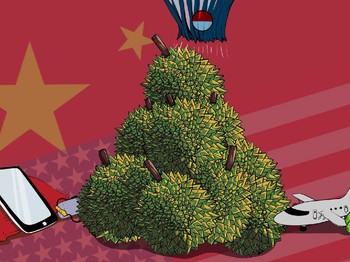 Durian Runtuh Perang Dagang: Vietnam Untung, RI Buntung