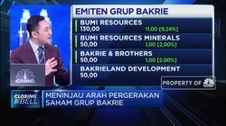 Runtuhnya Performa Group Bakrie