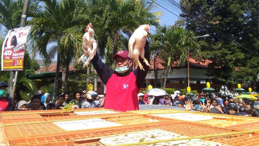 Aksi ini menyikapi anjloknya harga ayam di tingkat peternak karena kelebihan pasokan.