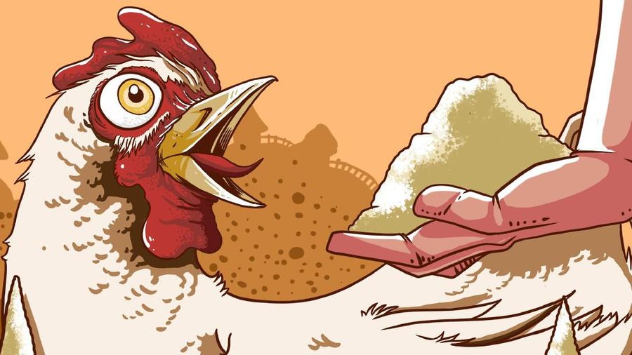 Hingga berita ini dimuat harga saham PT Charoen Pokphand Indonesia Tbk (CPIN) mencatatkan koreksi paling dalam dengan anjlok 1,89% ke level Rp 4.670/unit saham.