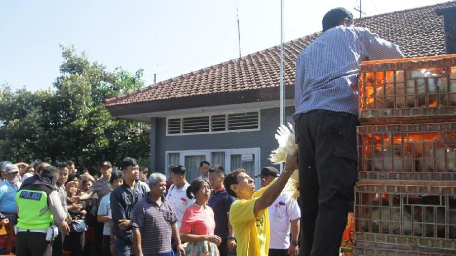 Aksi pembagian ayam gratis juga terjadi di Kota Semarang, selain Solo dan Yogyakarta.