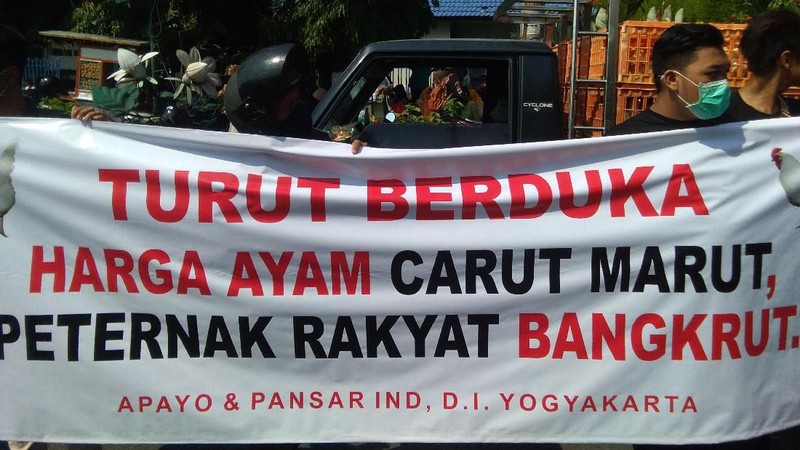 Aksi ini menyikapi anjloknya harga ayam di tingkat peternak karena kelebihan pasokan.