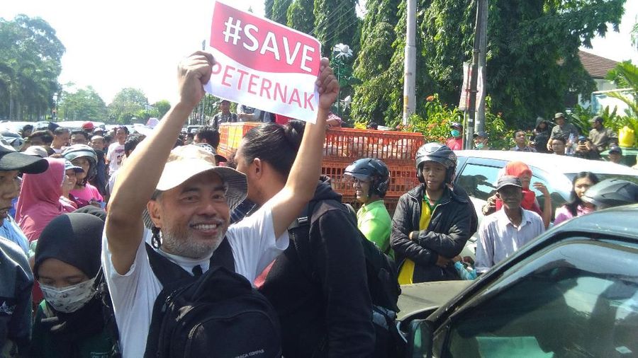 Peternak ayam mengeluhkan anjloknya harga ayam dalam beberapa waktu belakangan.