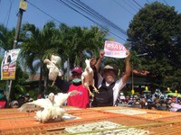 Nih, Penampakan Aksi Bagi-Bagi Ayam Gratis di Yogyakarta