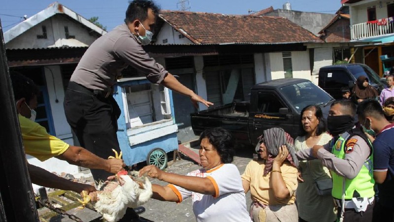 Aksi pembagian ayam gratis juga terjadi di Kota Semarang, selain Solo dan Yogyakarta.