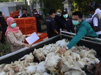 Ada Bagi-Bagi Ayam Gratis, Warga Semarang Antre