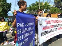 Harga Ayam di Peternak Anjlok Bukti Kegagalan Pemerintah?