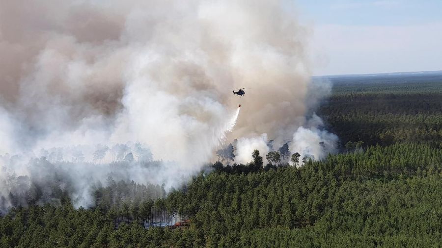 Gelombang panas yang berbahaya kembali terjadi di Eropa pada pekan ini (26/06/2019).
