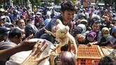 Warga berebut ayam saat pembagian ayam gratis oleh Asosiasi Peternak Ayam Yogyakarta di Balaikota Yogyakarta, Rabu (26/6). (ANTARA FOTO/Andreas Fitri Atmoko).