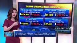 Harga Ayam Anjlok, Peternak Menjerit