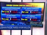 Harga Ayam Anjlok, Peternak Menjerit