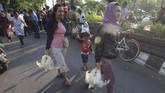 Di depan Kantor Bupati Klaten, Jawa Tengah, peternak membagikan sekitar dua ribu ekor ayam. (ANTARA FOTO/Aloysius Jarot Nugroho).