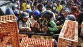 Peternak melakukan aksi protes karena harga ayam di tingkat peternak anjlok menjadi hanya Rp8.000 per kilogram. (ANTARA FOTO/Andreas Fitri Atmoko).