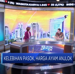 Lebih Pasok, Harga Ayam Anjlok