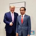 Di Balik Perbincangan Telepon Jokowi & Trump Perangi Covid-19
