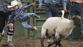 Bronc Heiner yang terjatuh dari punggung seekor domba mendapat bantuan dari orang-orang di sekitarnya. Heiner adalah salah satu peserta West Haven Days di Utah yang merupakan ajang rodeo untuk anak-anak. (Jeffrey D. Allred/The Deseret News via AP)