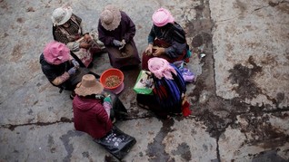 FOTO: Kekesalan Pemburu Jamur Obat Pada Perubahan Iklim
