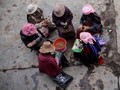 FOTO: Kekesalan Pemburu Jamur Obat Pada Perubahan Iklim