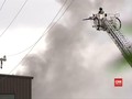VIDEO: Pesawat Jatuh di Texas, 10 Tewas