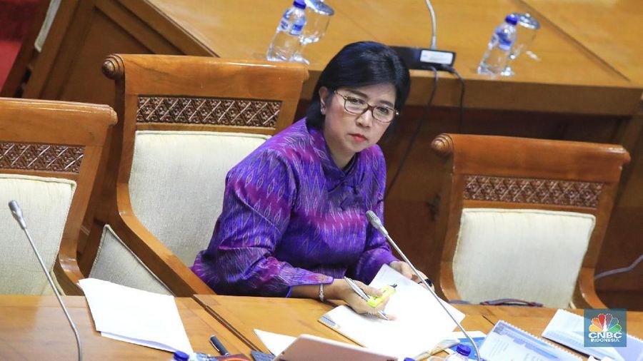 Komisi XI DPR mengundang BIN dalam penetapan calon deputi gubernur senior (DGS) Bank Indonesia (BI) Destri Damayanti.