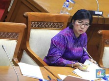 BIN Telusuri Rekam Jejak Calon BI-2 Destry Damayanti