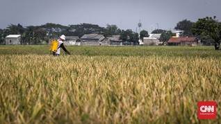 Soal Penangkapan Petani Padi IF8, Kementan Nilai Sudah Tepat