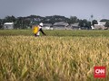 Jokowi Terbitkan Perpres untuk Kendalikan Alih Fungsi Sawah