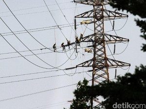 Pohon di Sekitar Jaringan Listrik Ditebang, Pemilik Bisa Minta Ganti Rugi