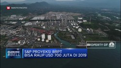 S&P Proyeksi BRPT Bisa Raup USD 700 Juta di 2019