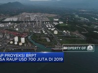 S&P Proyeksi BRPT Bisa Raup USD 700 Juta di 2019
