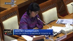 Visi dan Misi Destry Damayanti untuk Bank Indonesia