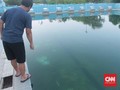 Defisit Jadi Alasan Pengelola Telantarkan Jakabaring