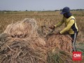 Amran Klaim Aturan Batas Edar Varietas Lindungi Petani