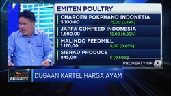 Benarkah Kartel Penyebab Anjloknya Harga Ayam ?