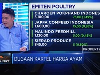Benarkah Kartel Penyebab Anjloknya Harga Ayam ?