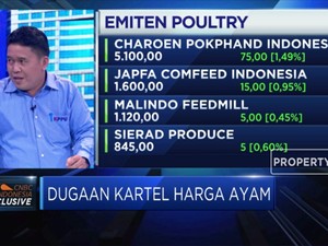 Benarkah Kartel Penyebab Anjloknya Harga Ayam ?