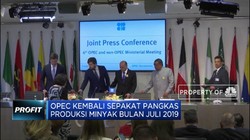 OPEC Kembali Pangkas Produksi Minyak di Juli 2019