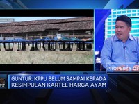 Langkah KPPU Atasi Anjloknya Harga Ayam