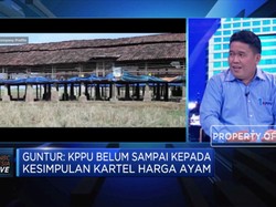 Langkah KPPU Atasi Anjloknya Harga Ayam
