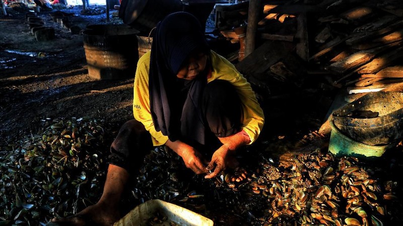Mengupas kerang hijau sudah menjadi salah satu pekerjaan para warga Muara Angke untuk melanjutkan hidup.