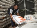 Jokowi Minta Bulog Lapor Potensi Penumpukan Beras Jauh Hari