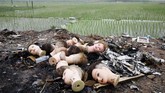 Kepala-kepala manequin terlihat di pinggir jalan dekat suatu apartemen di Hanoi, Vietnam. (REUTERS/Kham)